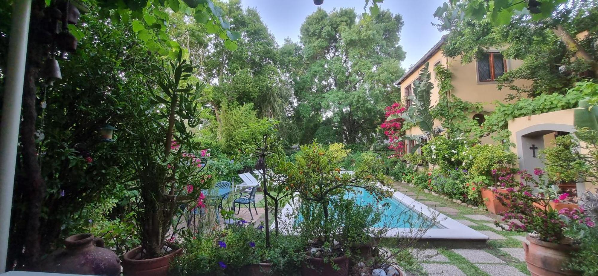 10 Alexander B&B Stellenbosch Kültér fotó