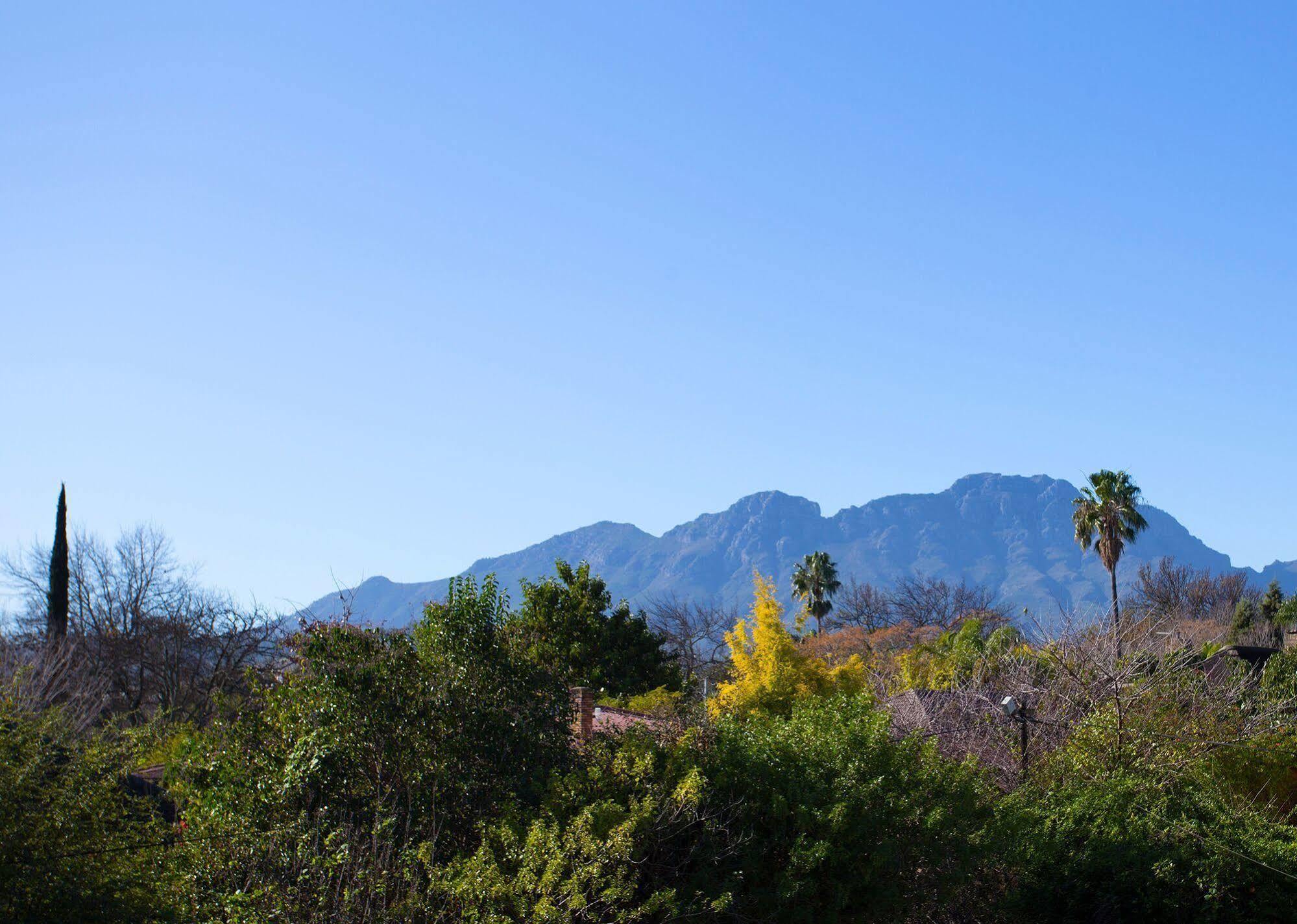 10 Alexander B&B Stellenbosch Kültér fotó