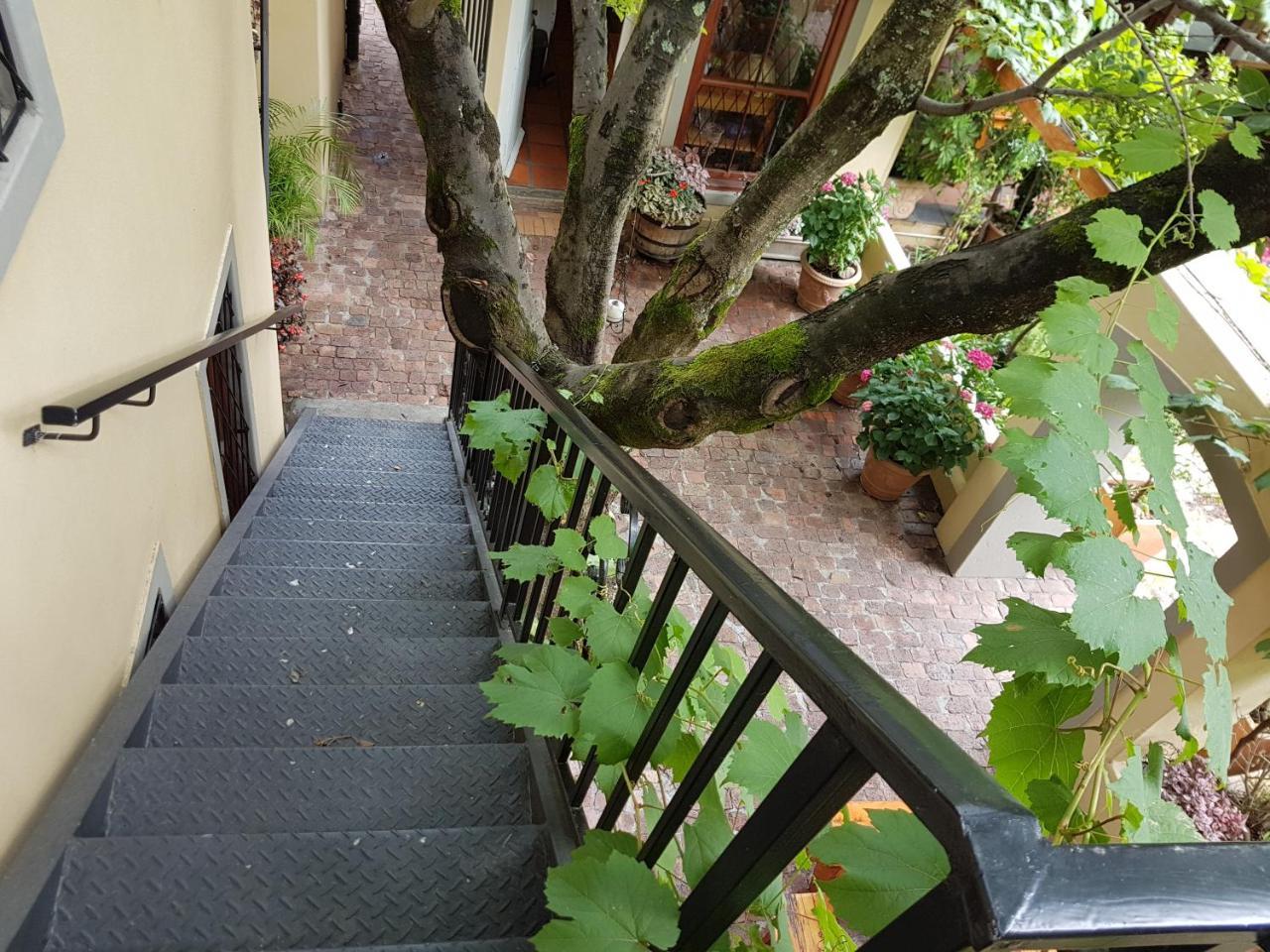 10 Alexander B&B Stellenbosch Kültér fotó